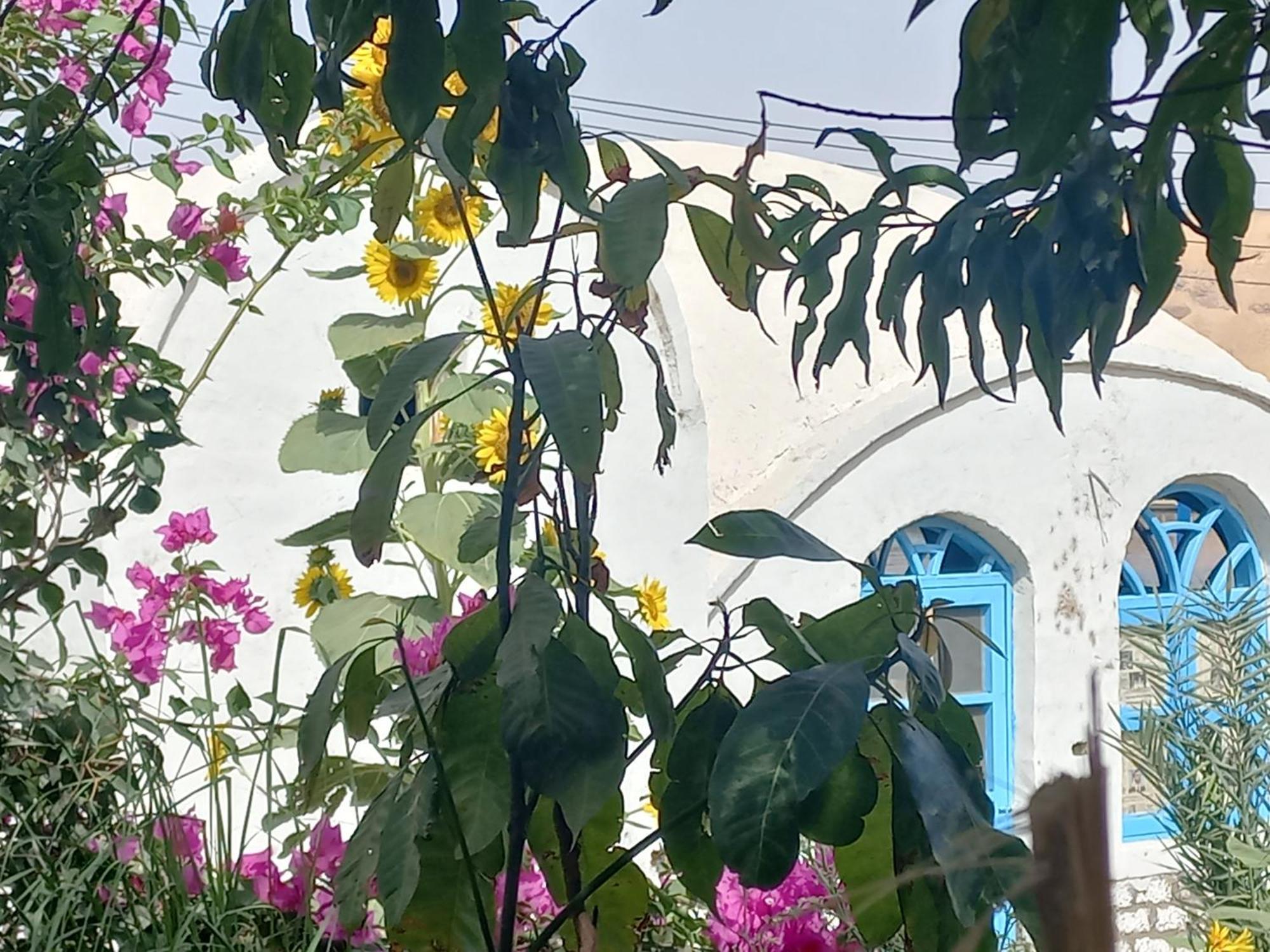 Nubian Lotus Bed & Breakfast Aswan Exterior photo
