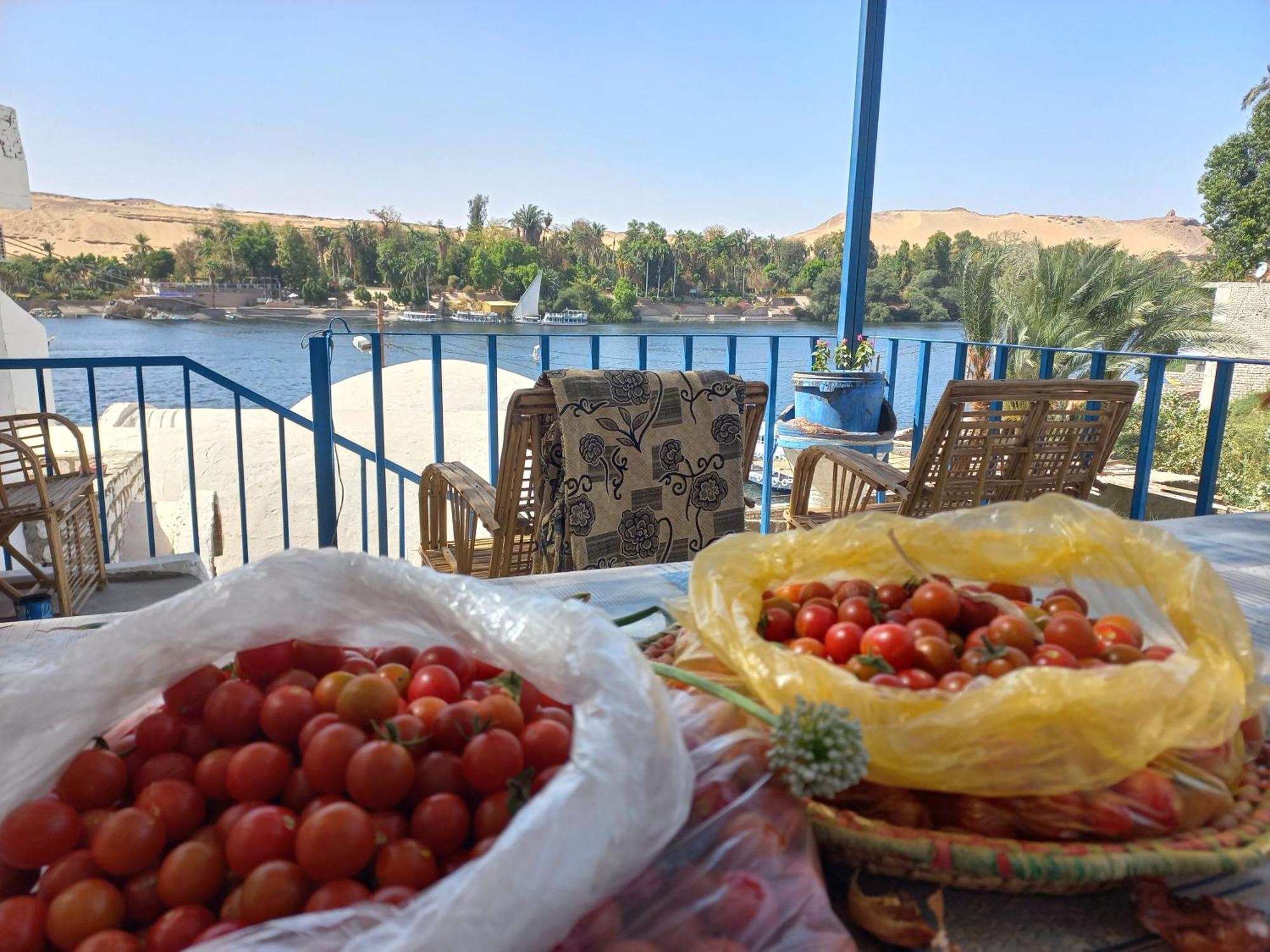 Nubian Lotus Bed & Breakfast Aswan Exterior photo