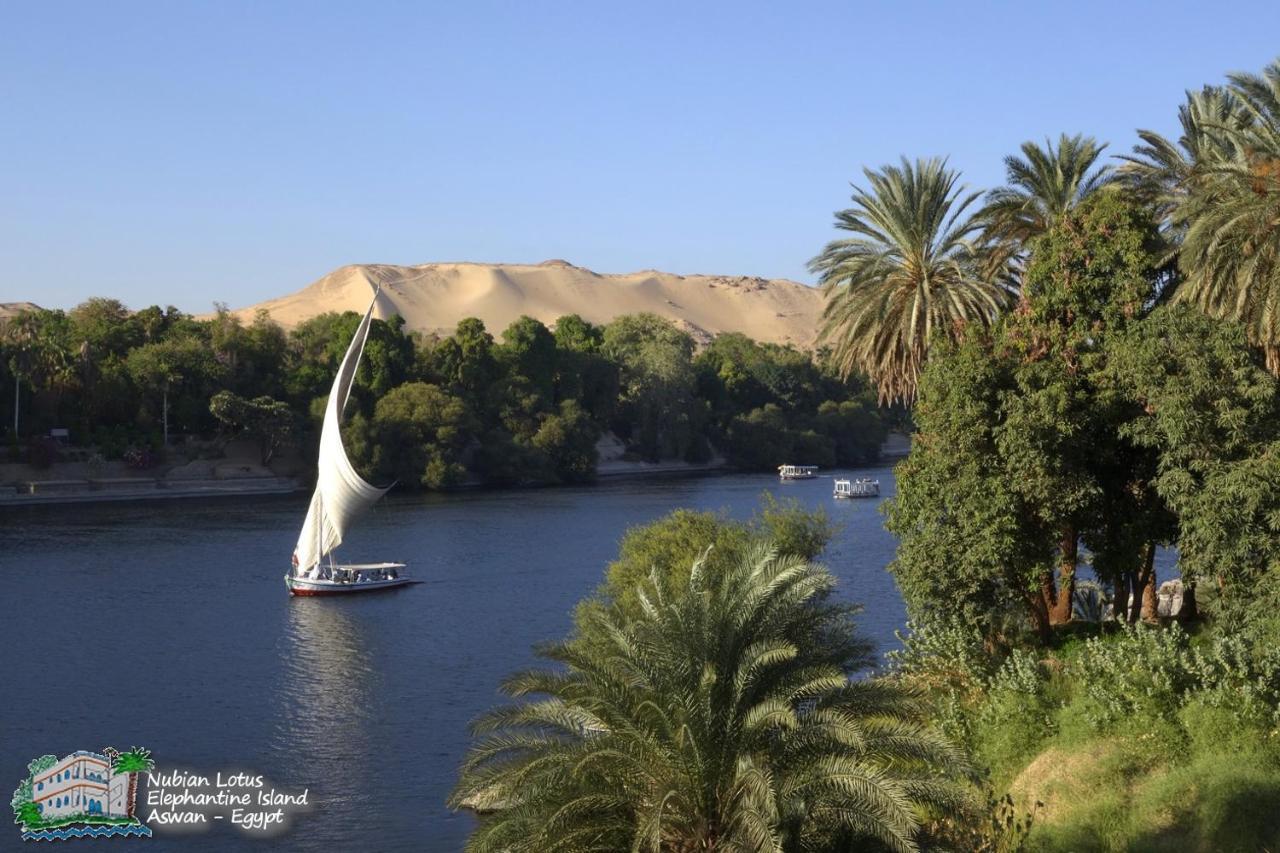 Nubian Lotus Bed & Breakfast Aswan Exterior photo